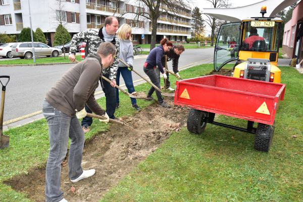 Pracovníci Hamé v rámci dobrovolnické činnosti pomáhali Uherskohradišťské nemocnici